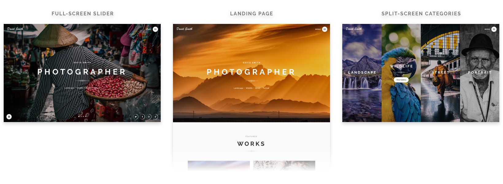 Photographer Photography HTML5 Responsive Website Template